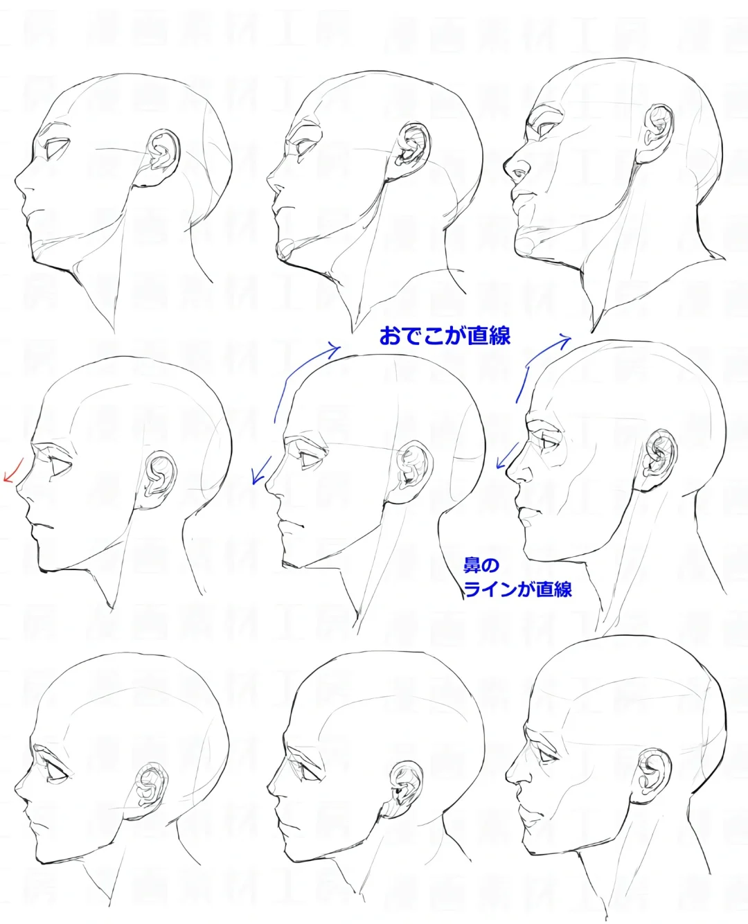 一期高质量成年男性头部手稿｜绘画参考