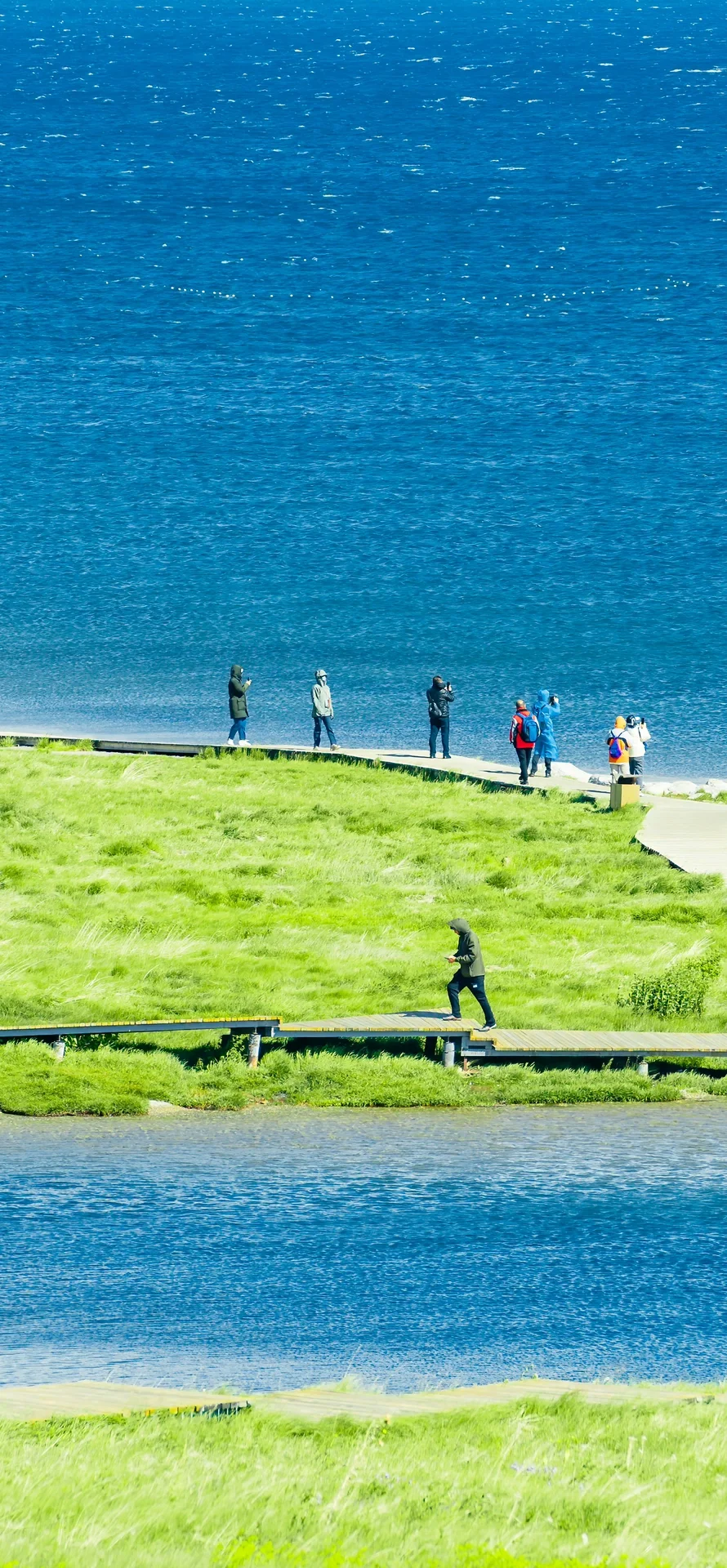 赛里木湖 |夏日限定壁纸