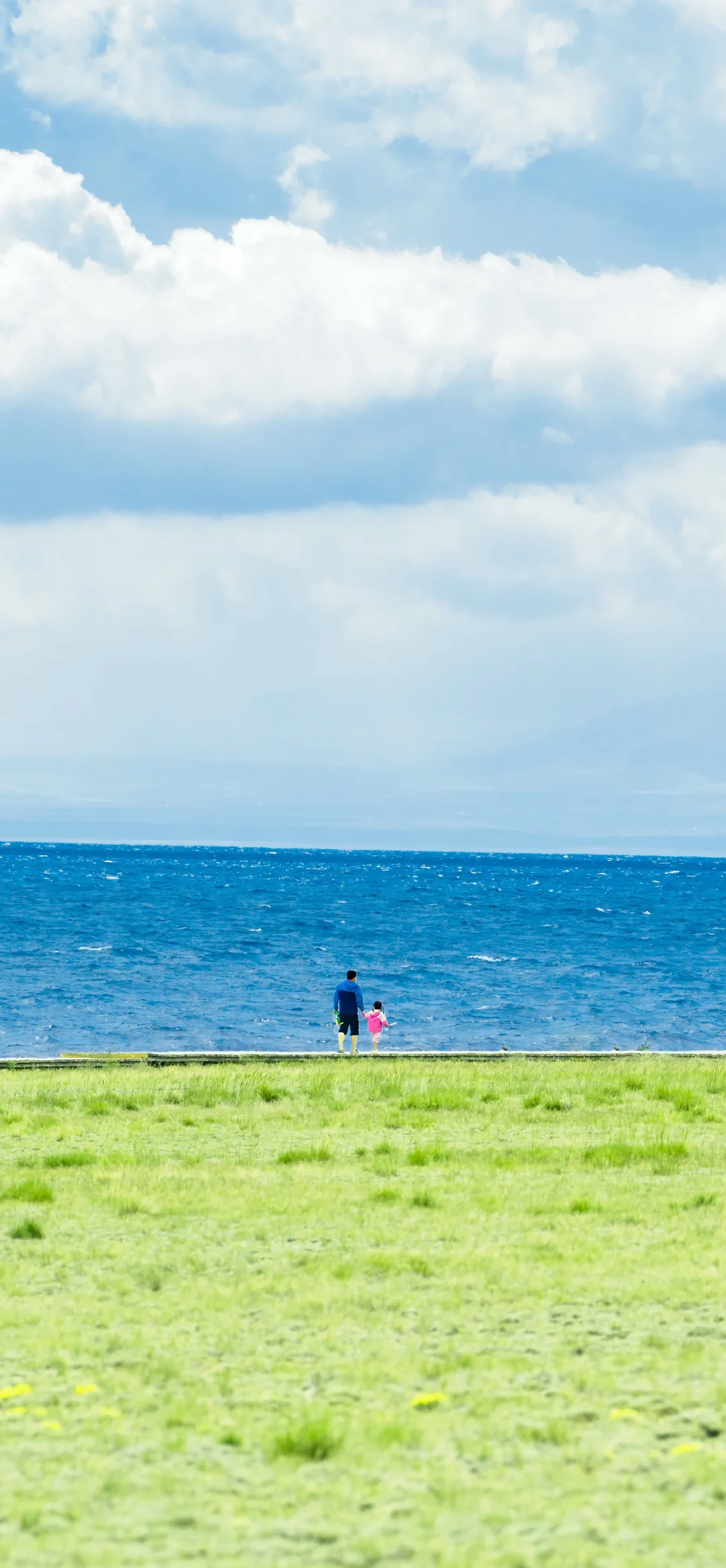 赛里木湖 |夏日限定壁纸