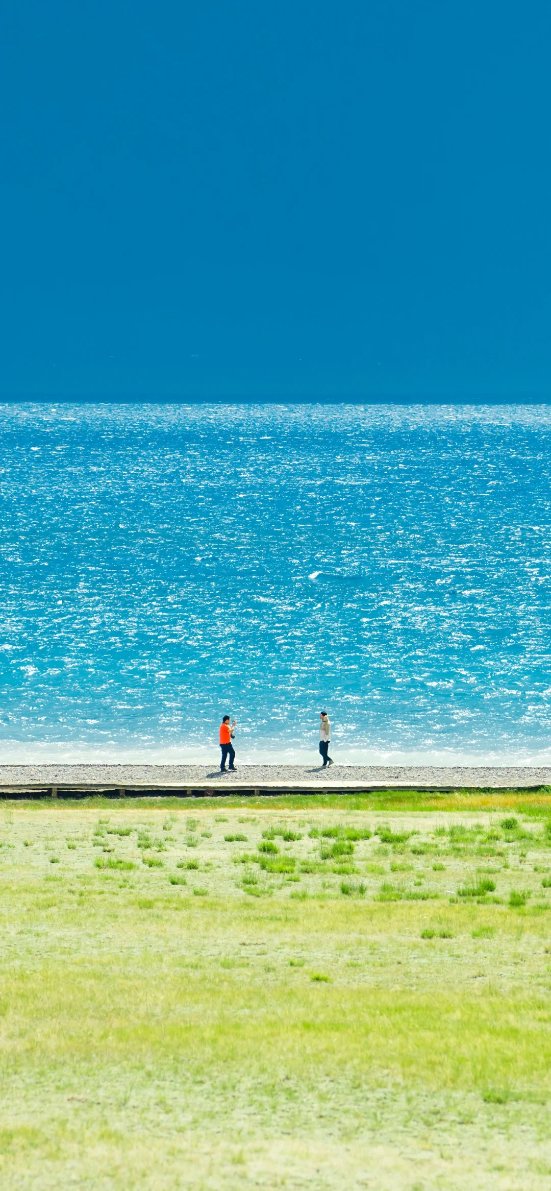 赛里木湖 |夏日限定壁纸