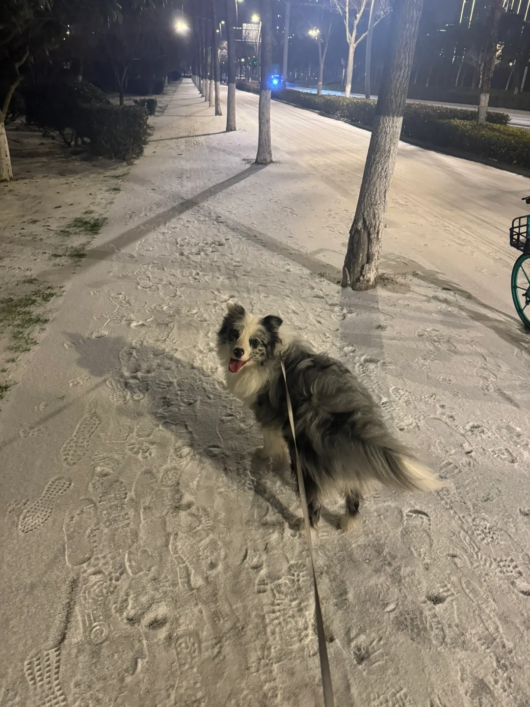 单亲妈妈，性感少妇，寂寞难耐，冰天雪地，出门