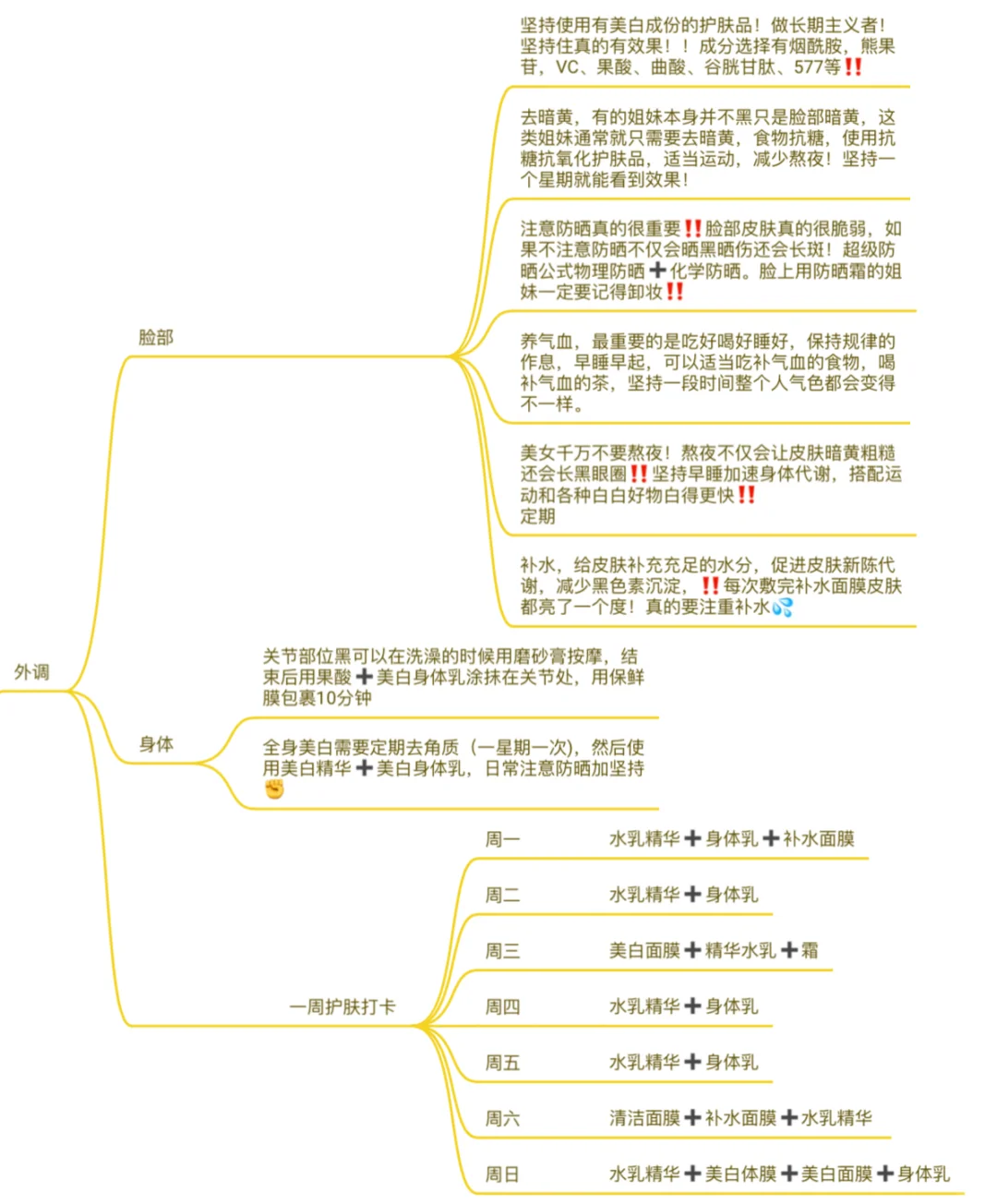 美女养成计划‼️全程干货建议收藏