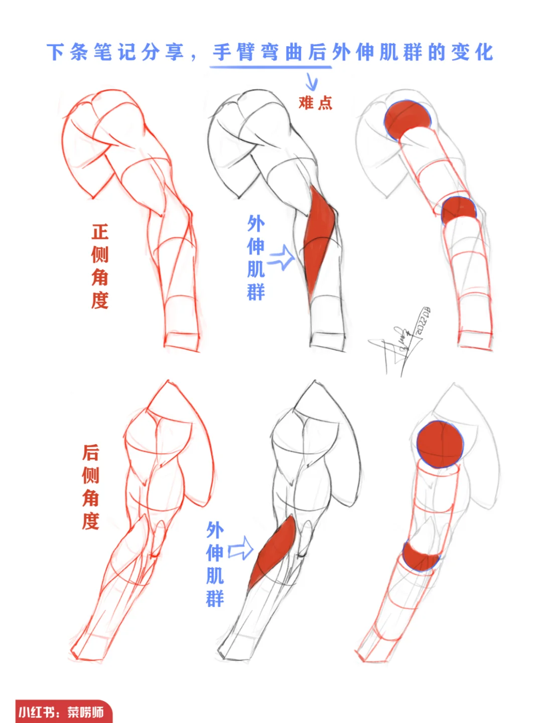 你们要的“加结构”来啦丨附带以往解析图