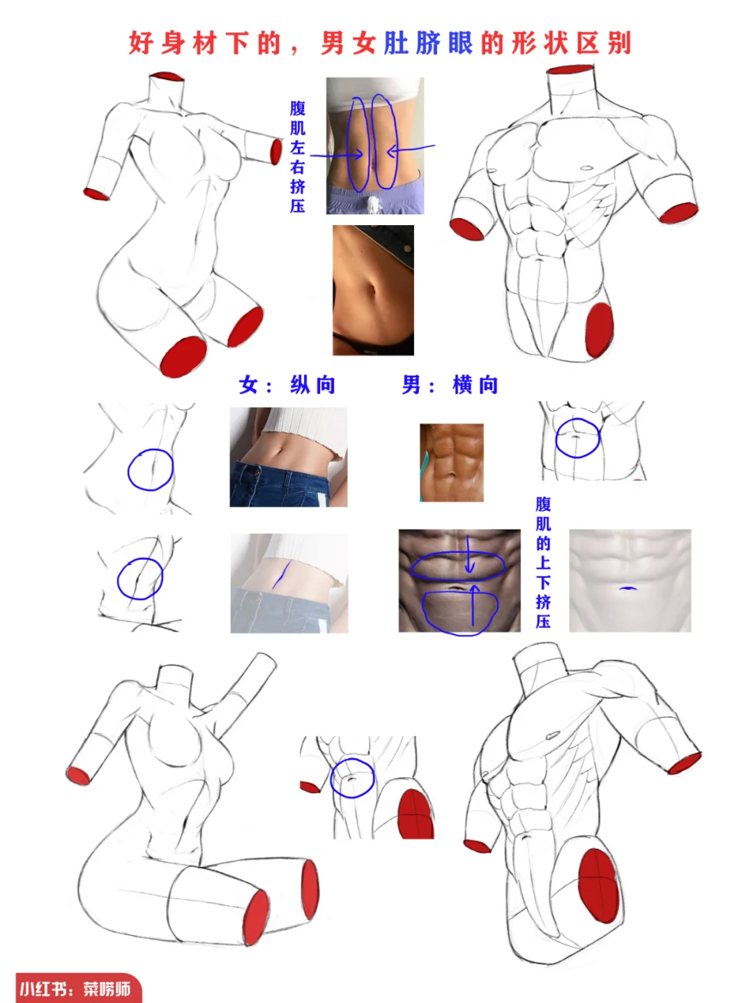 你们要的“加结构”来啦丨附带以往解析图