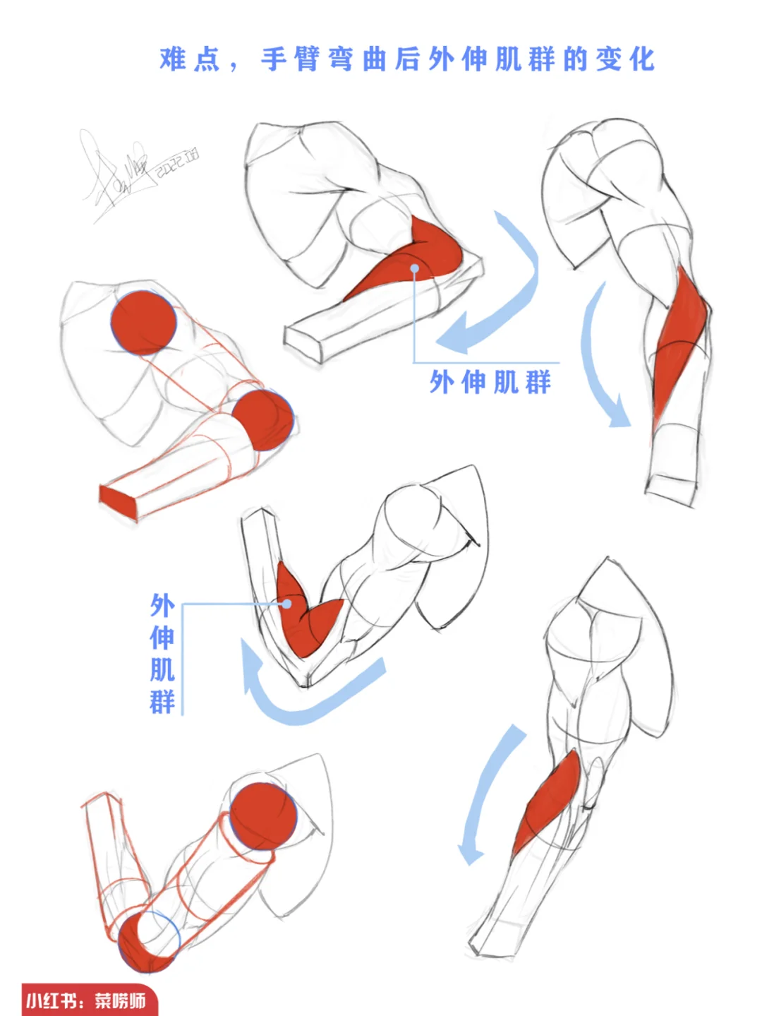 你们要的“加结构”来啦丨附带以往解析图