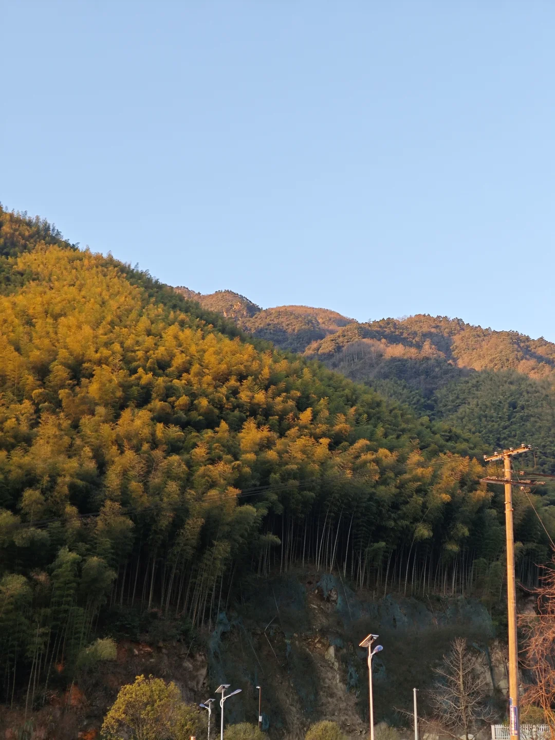 我见青山多妩媚，料青山见我应如是