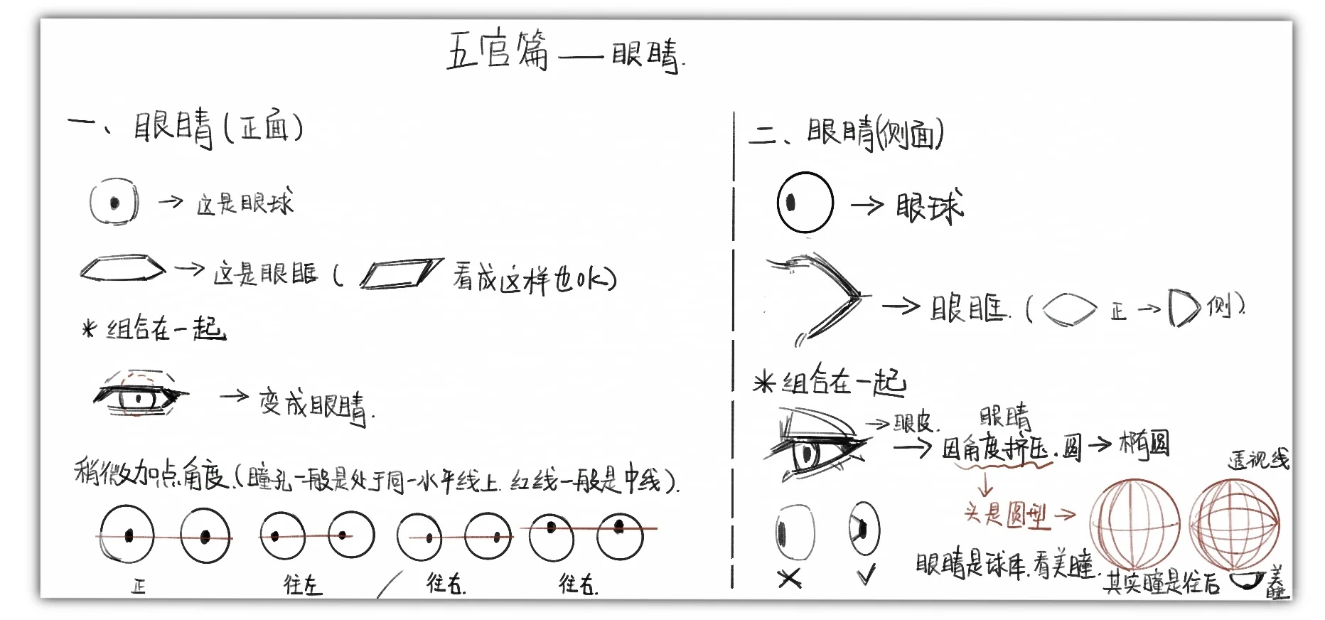 我流五官透视法——眼睛篇