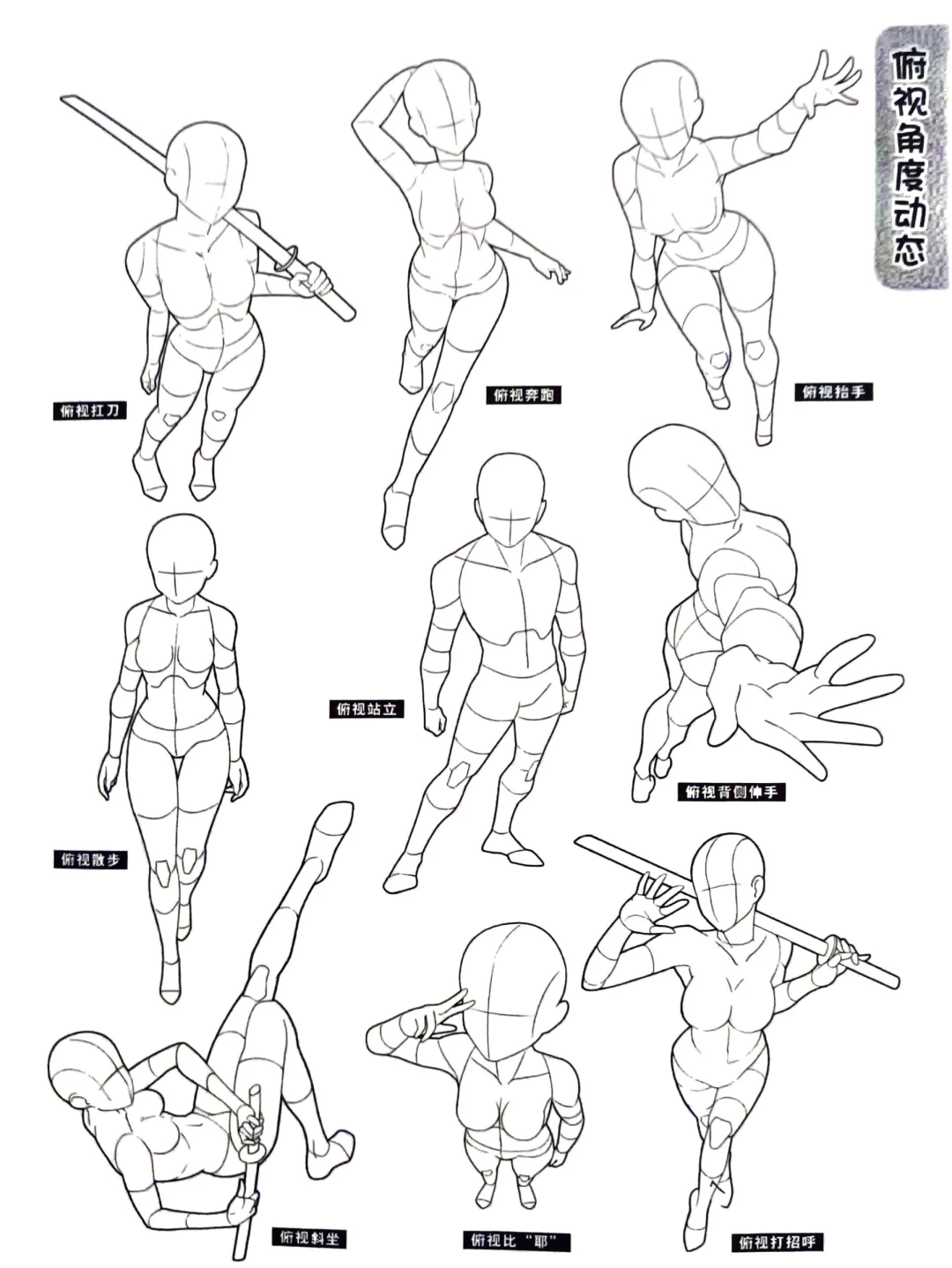 人体结构动态——俯视与仰视?