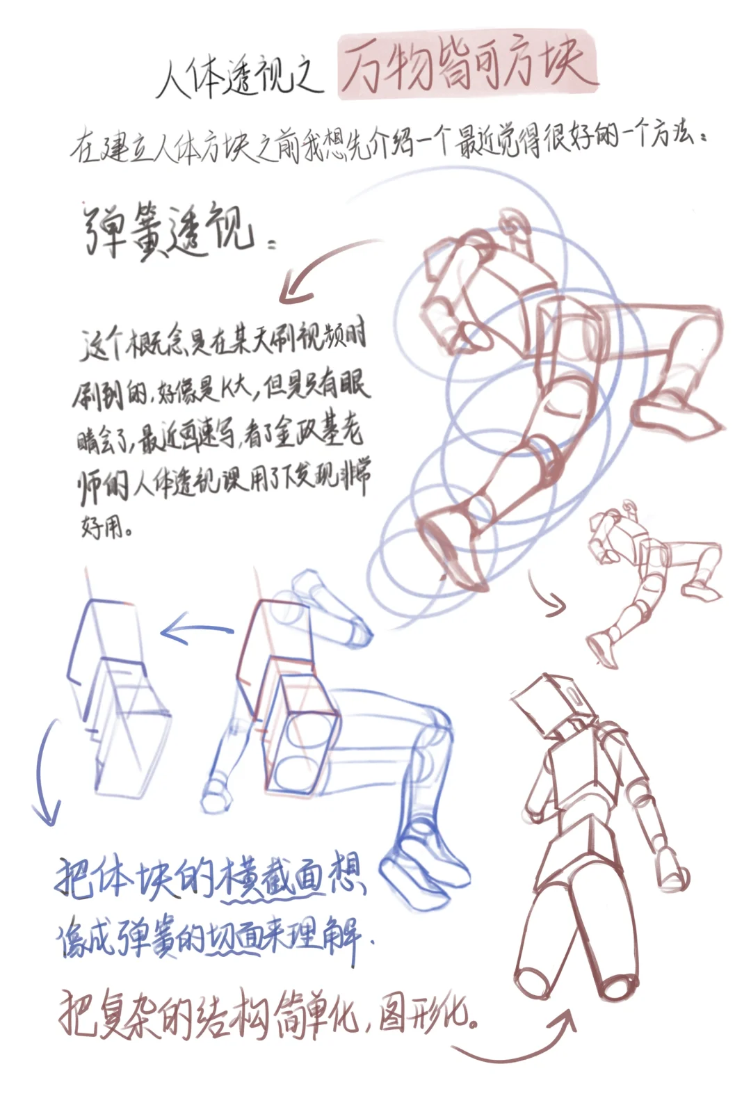 人体结构透视在练习中的思路总结