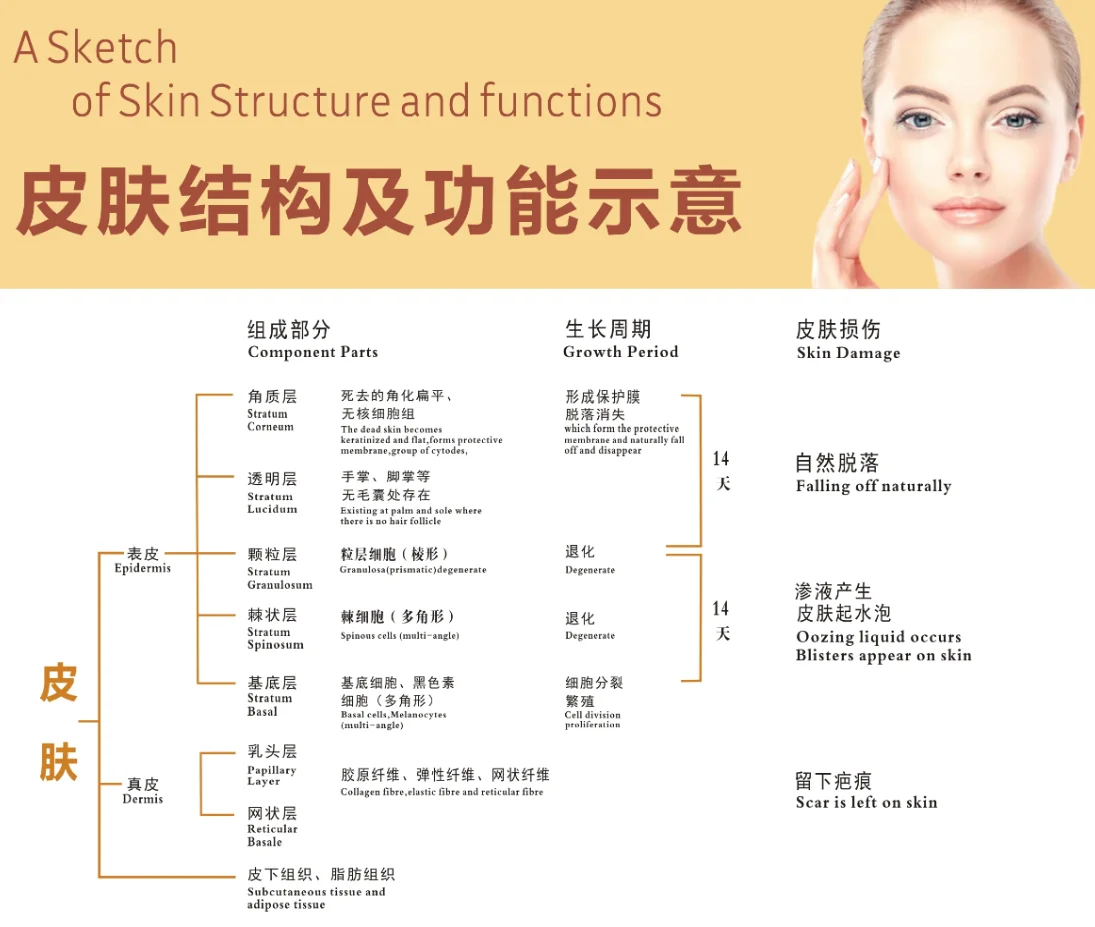 皮肤油腻、长痘痘、晒伤、晒斑，而这些都跟