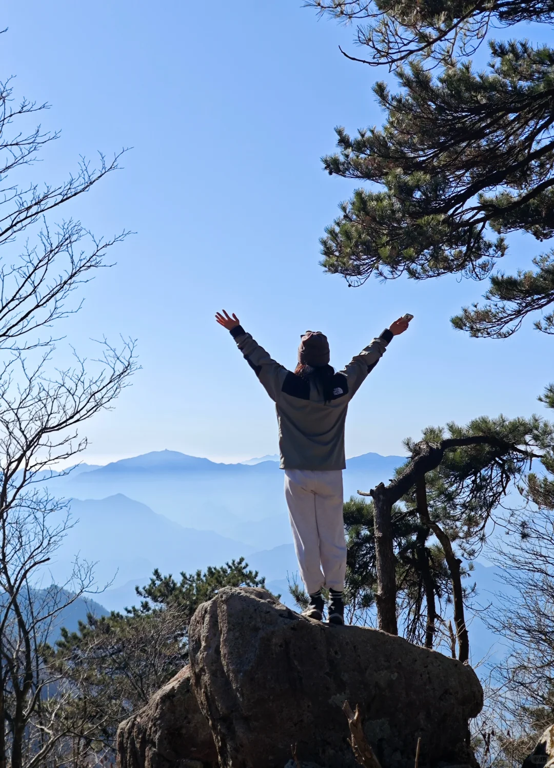 我见青山多妩媚，料青山见我应如是