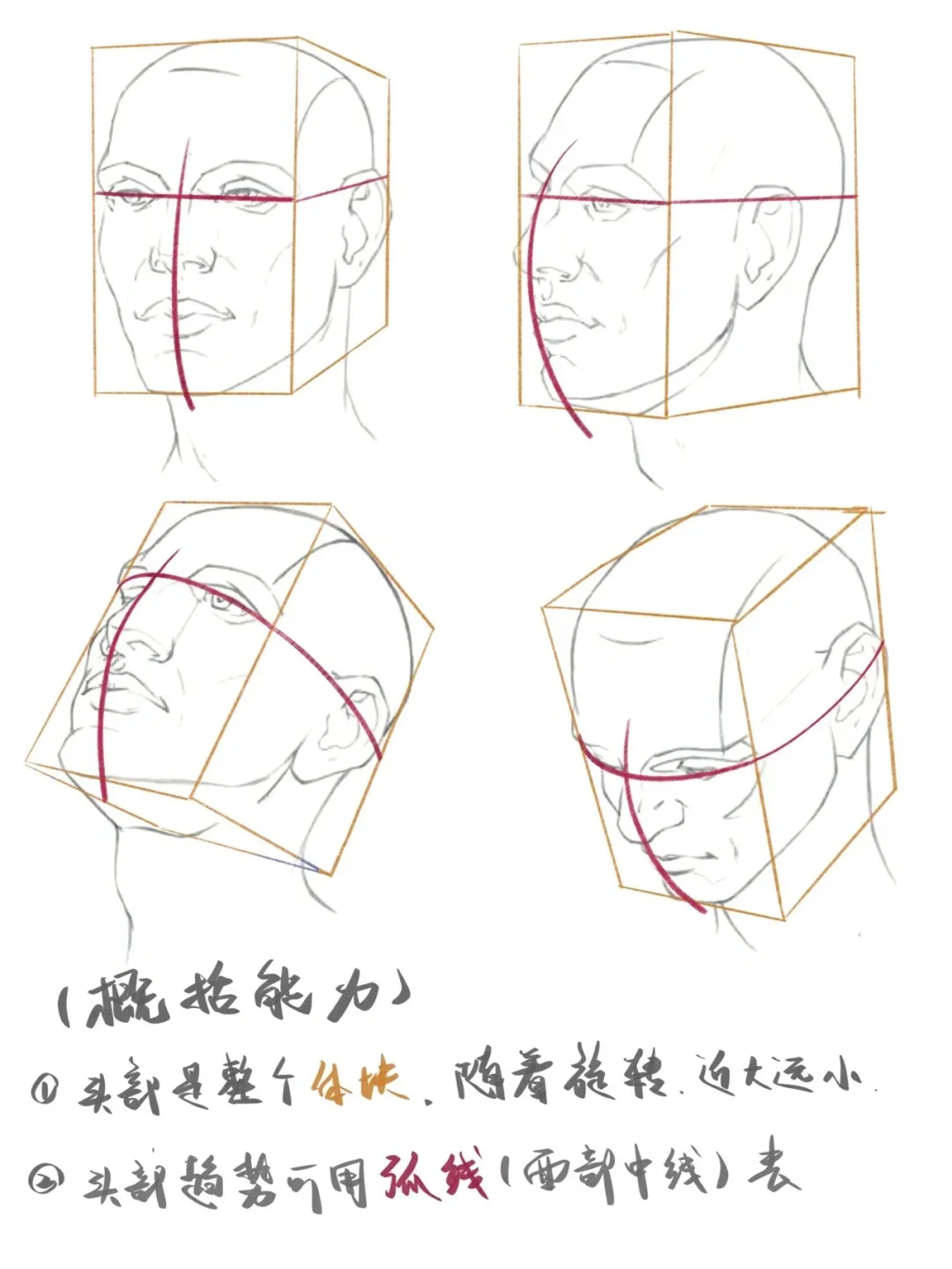 5分钟让你掌握头像透视规律