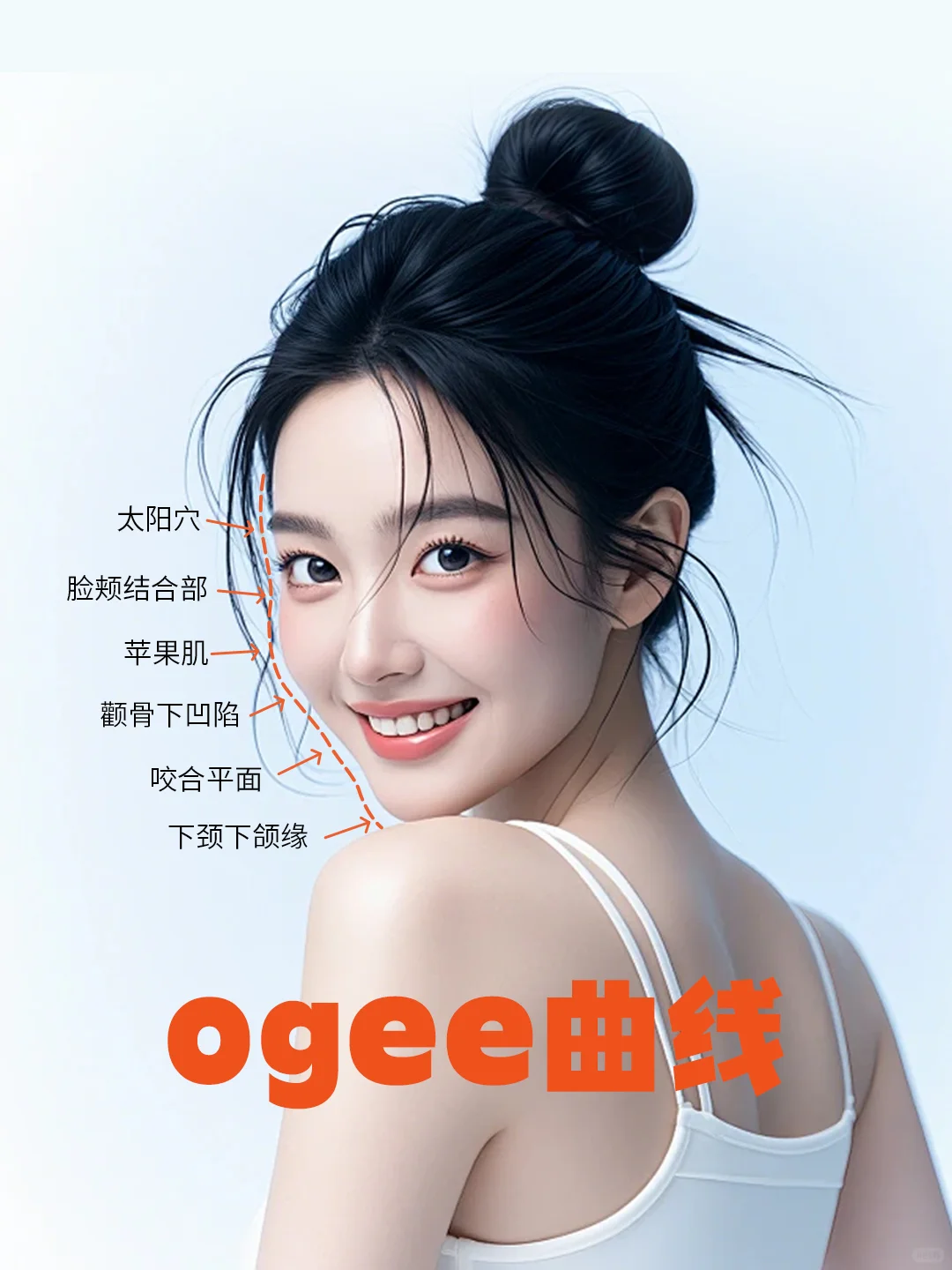 ✨Ogee 曲线大揭秘！😎