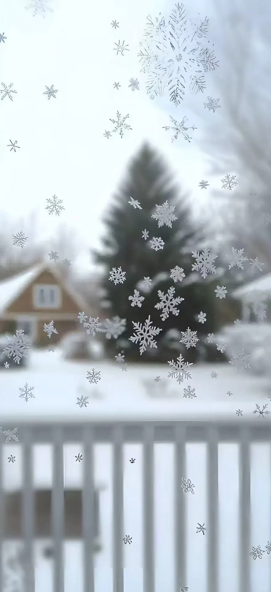 ✩ ̩͙ ⁺初めての雪 ·?‍⬛❄️ ⁺.