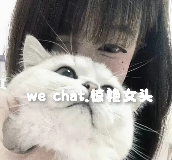 we chat.惊艳女头