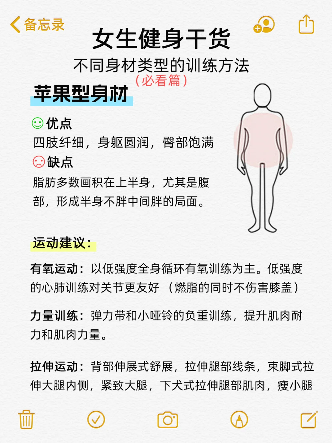 女生小白健身干货|不同身材类型的训练方法