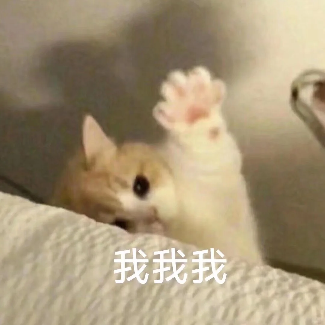 可爱猫猫表情包｜头脑发热