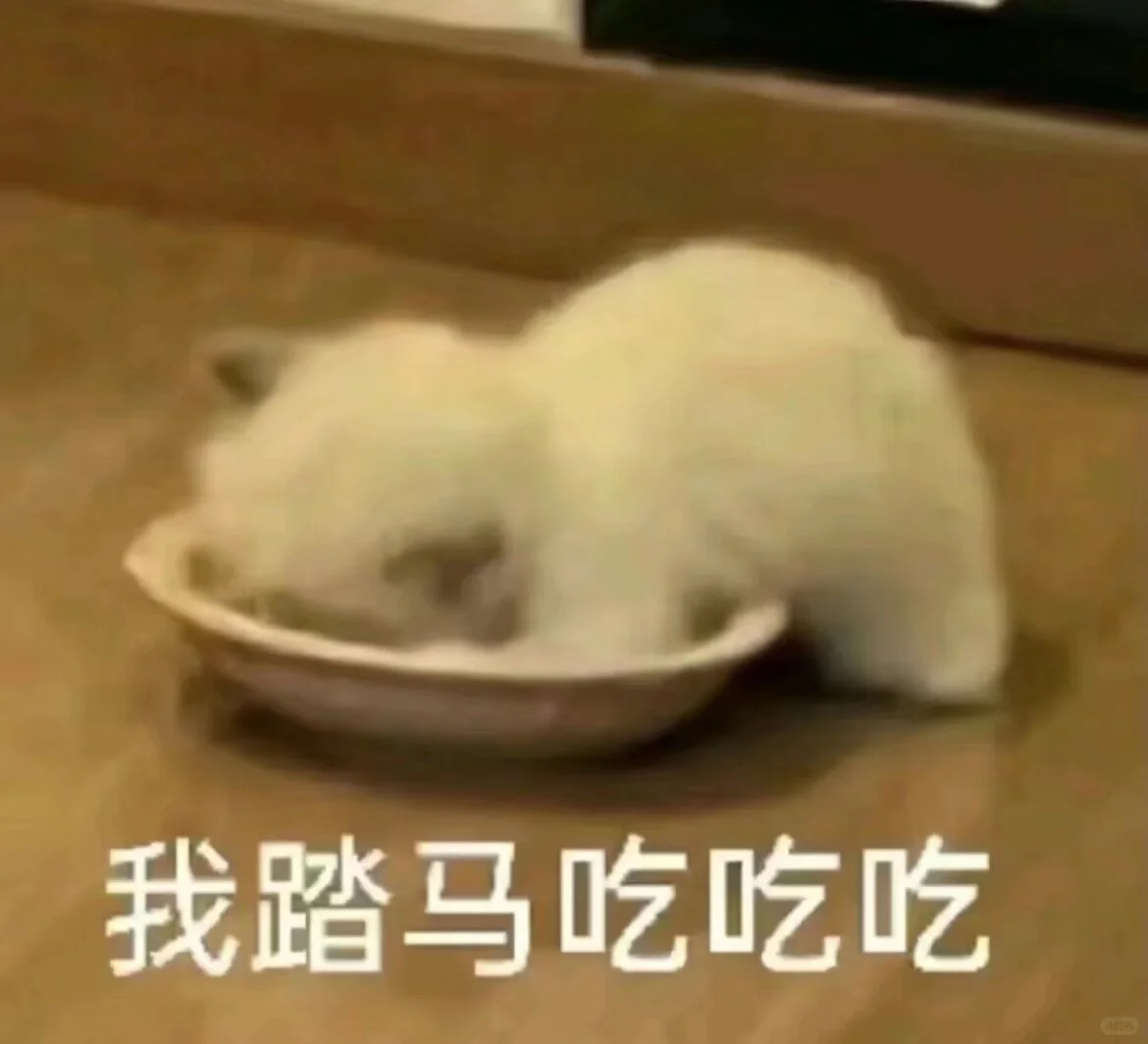 可爱猫猫表情包｜头脑发热