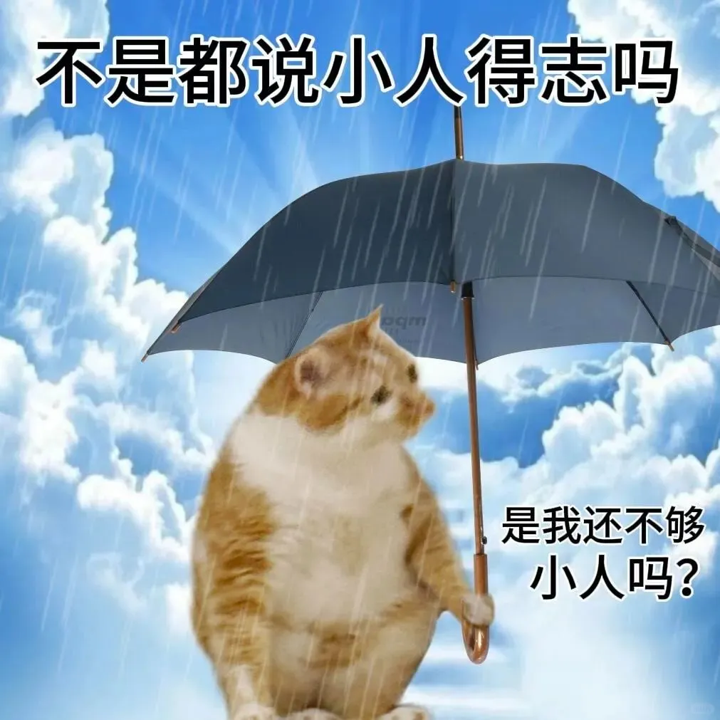 天赋型选手小猫表情包