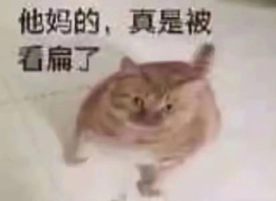 糊糊小猫表情包