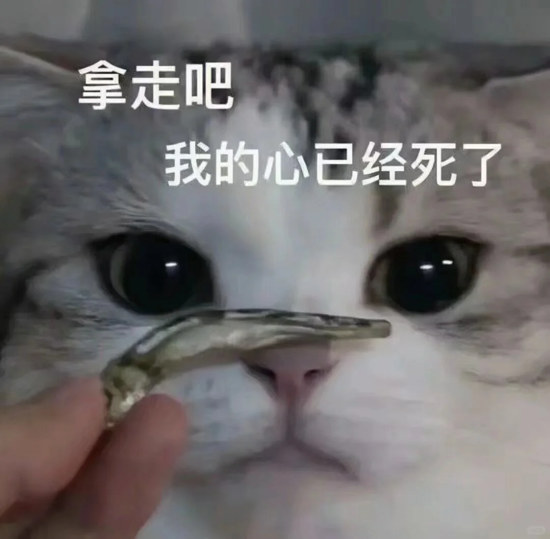 可爱猫猫表情包｜头脑发热