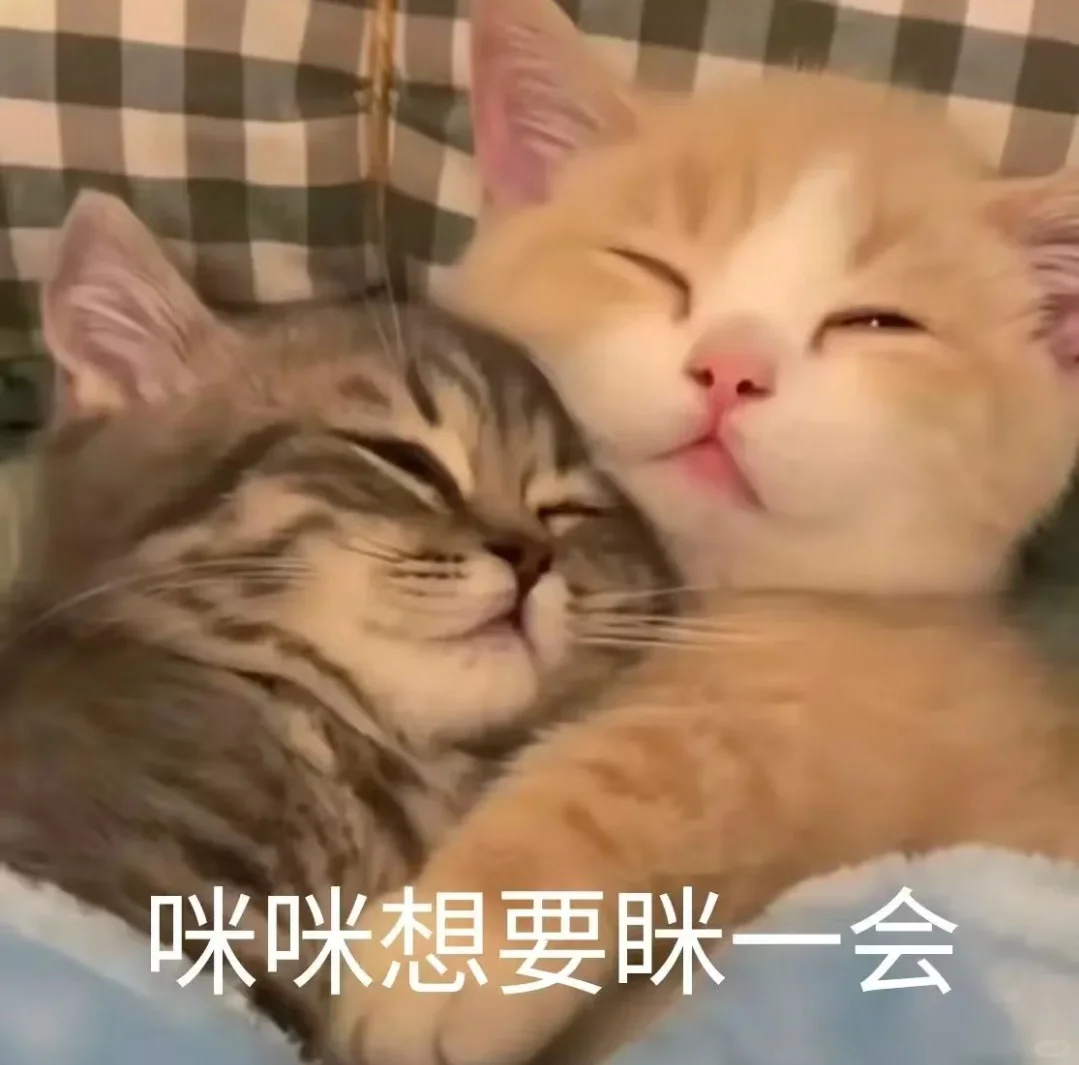 甜甜的猫系恋爱表情包?第二波～