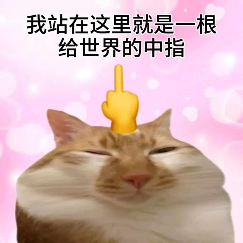 天赋型选手小猫表情包