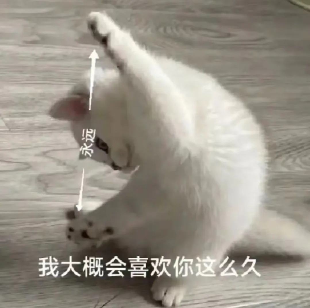 甜甜的猫系恋爱表情包?第二波～