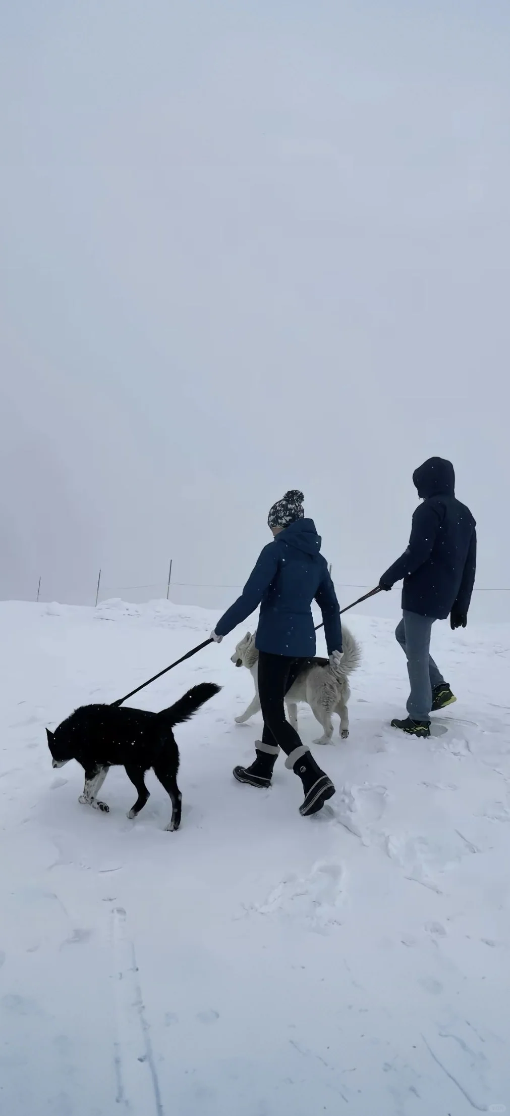 壁纸｜小众高级感壁纸