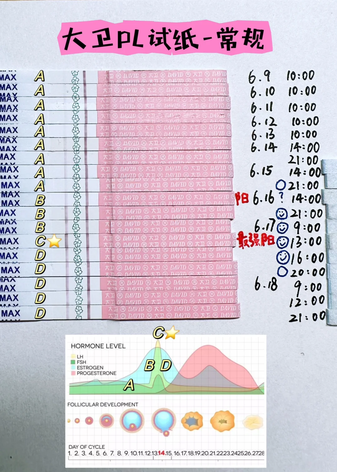 备孕｜图解排卵试纸用法