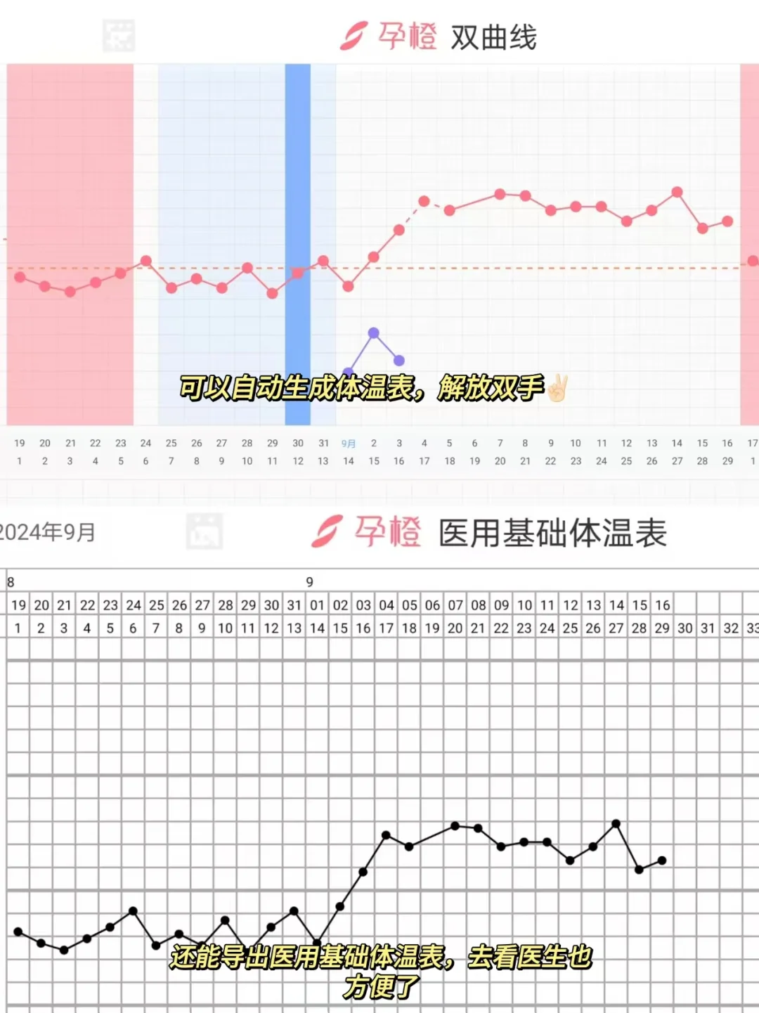 备孕的姐妹一定要学会看体温|0成本测排卵