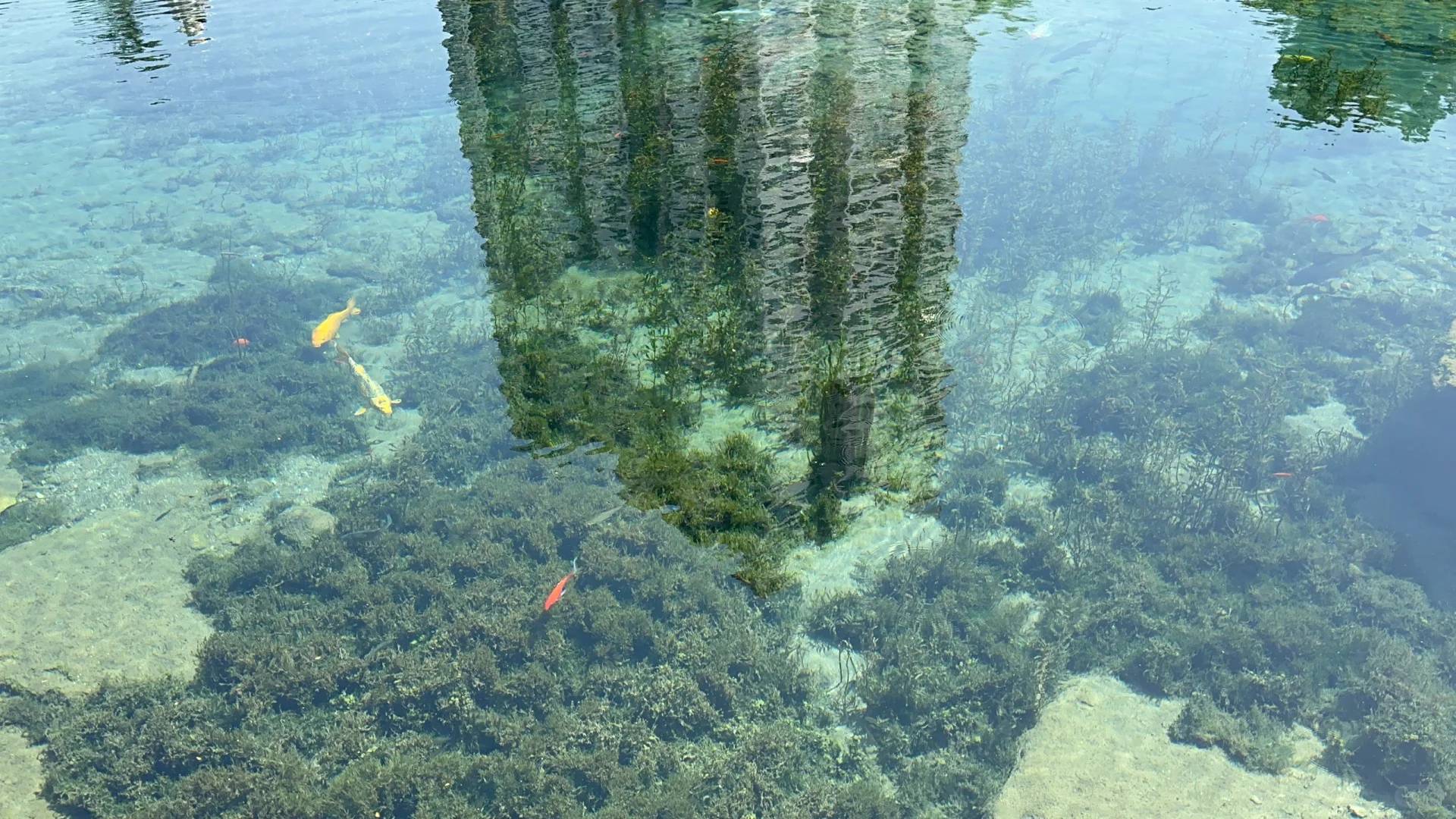 这里不是九寨沟，这是河北邯郸峰峰矿区