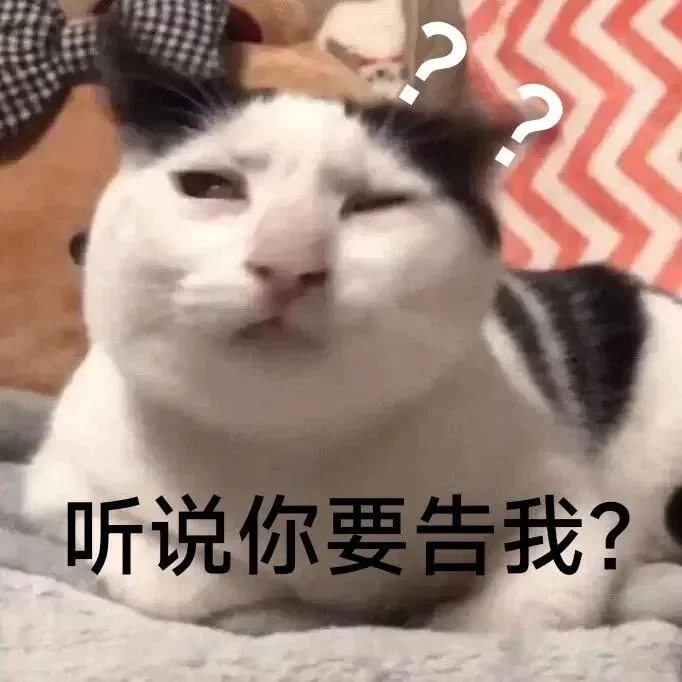 小猫咪表情包