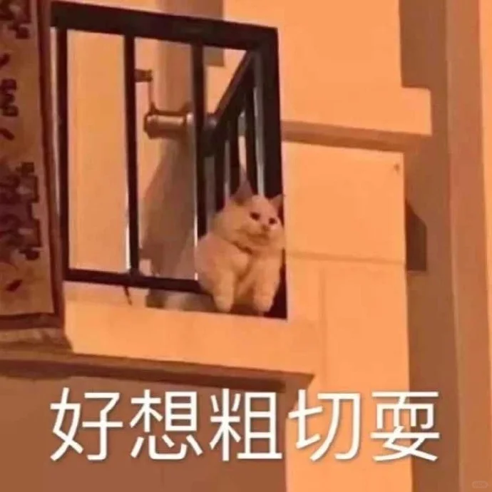 小猫：想刀人的心是藏不住的