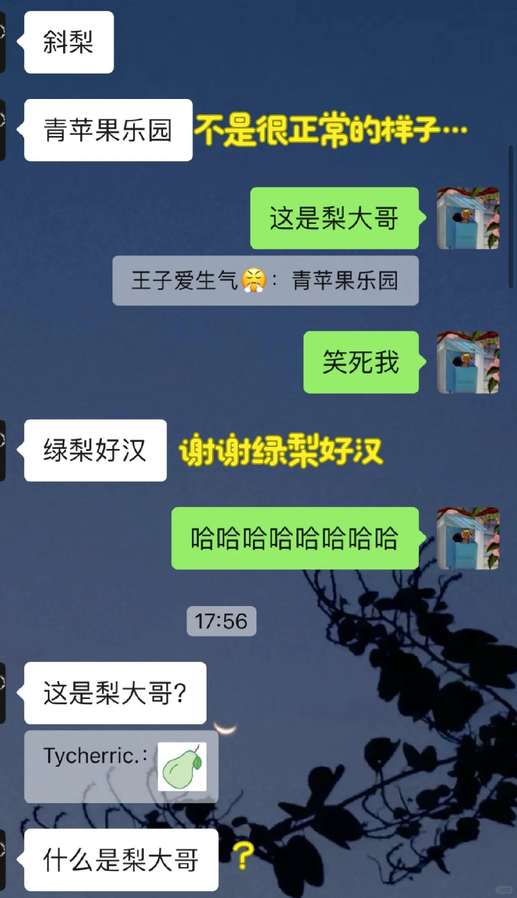 这对象撩不了一点