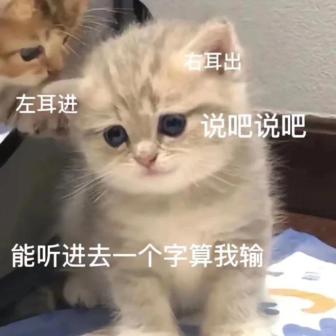 小猫：想刀人的心是藏不住的