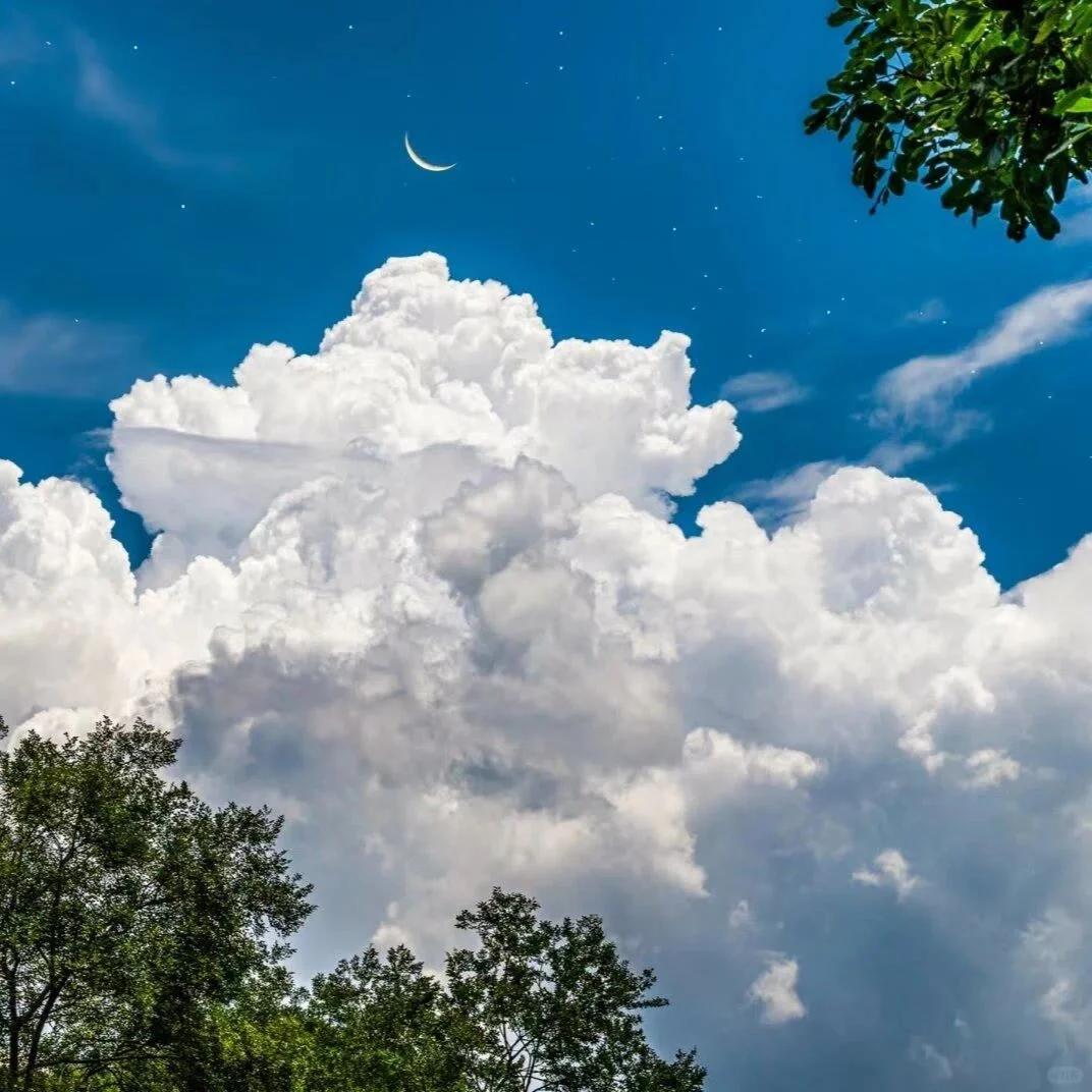 ??????｜☁️背景图