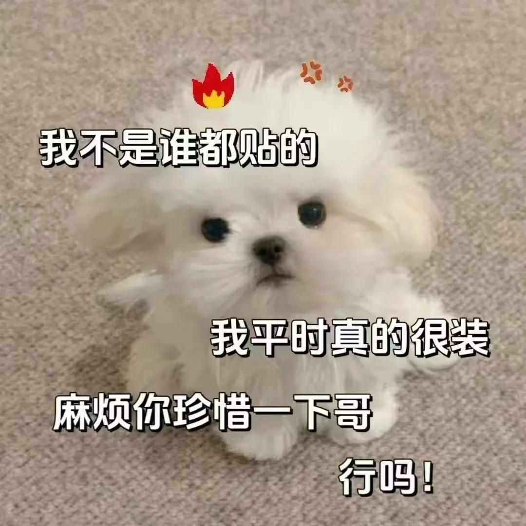 猫咪表情包太可爱了吧