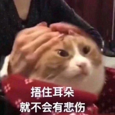 小猫：想刀人的心是藏不住的