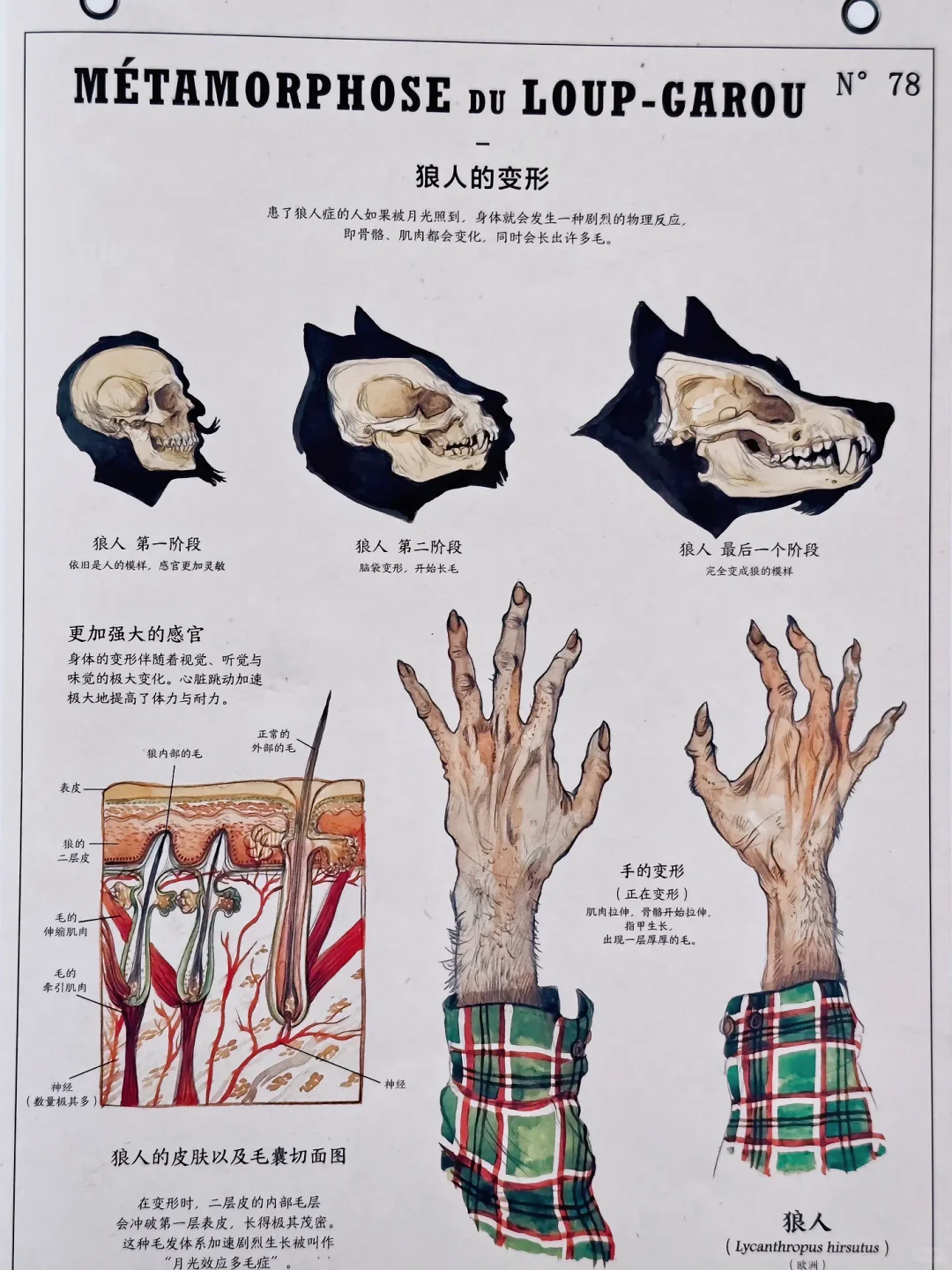 天啊😱胆小勿入！！爱到尽头是生吞（cult向）