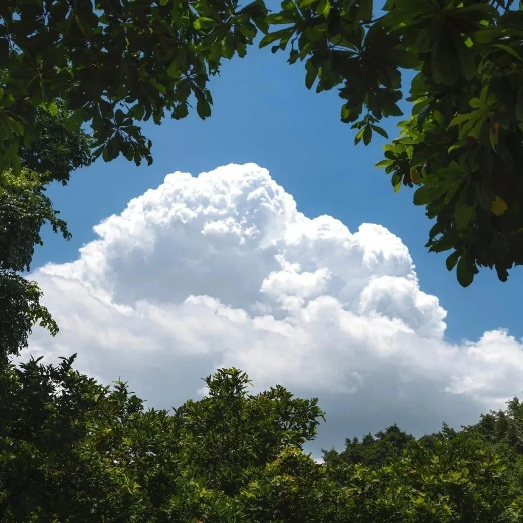 ??????｜☁️背景图