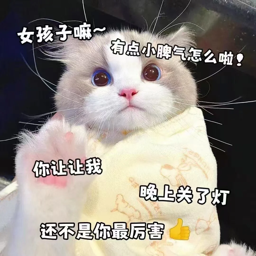 猫咪表情包太可爱了吧