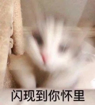 小猫：想刀人的心是藏不住的