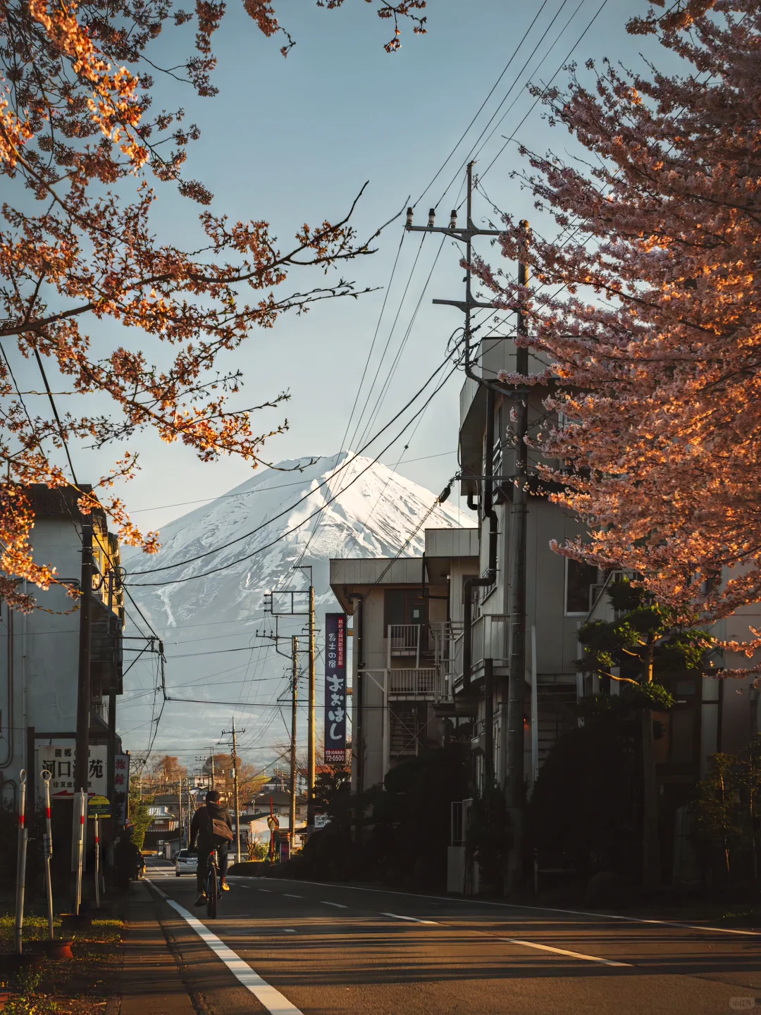 现在最适合去富士山