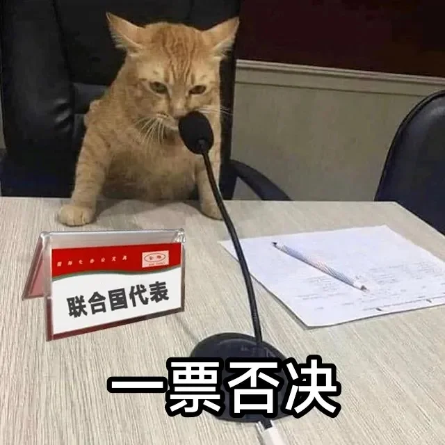 小猫咪表情包