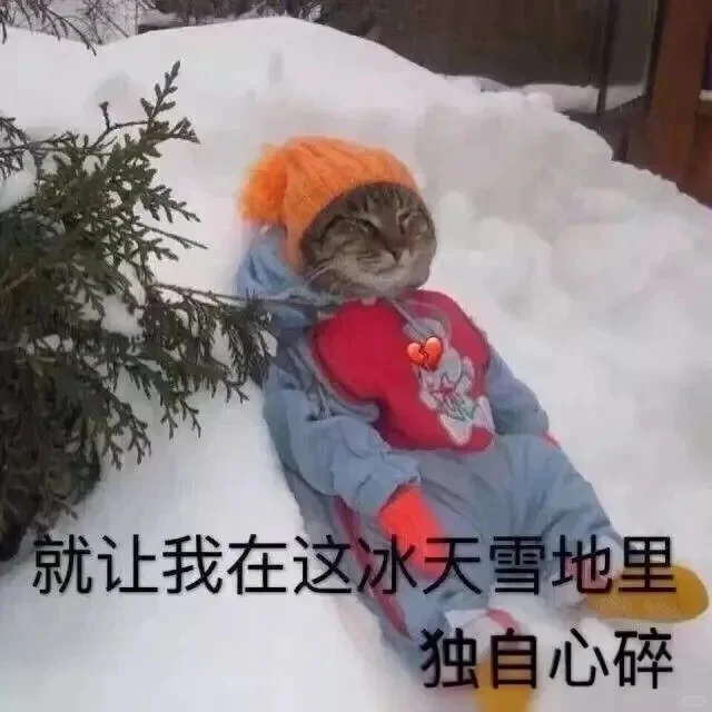 小猫咪表情包