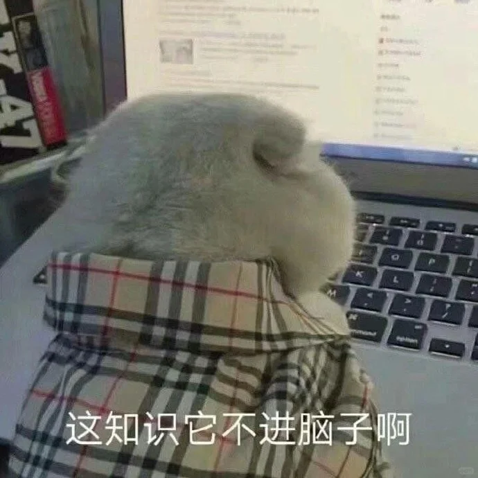 小猫：想刀人的心是藏不住的