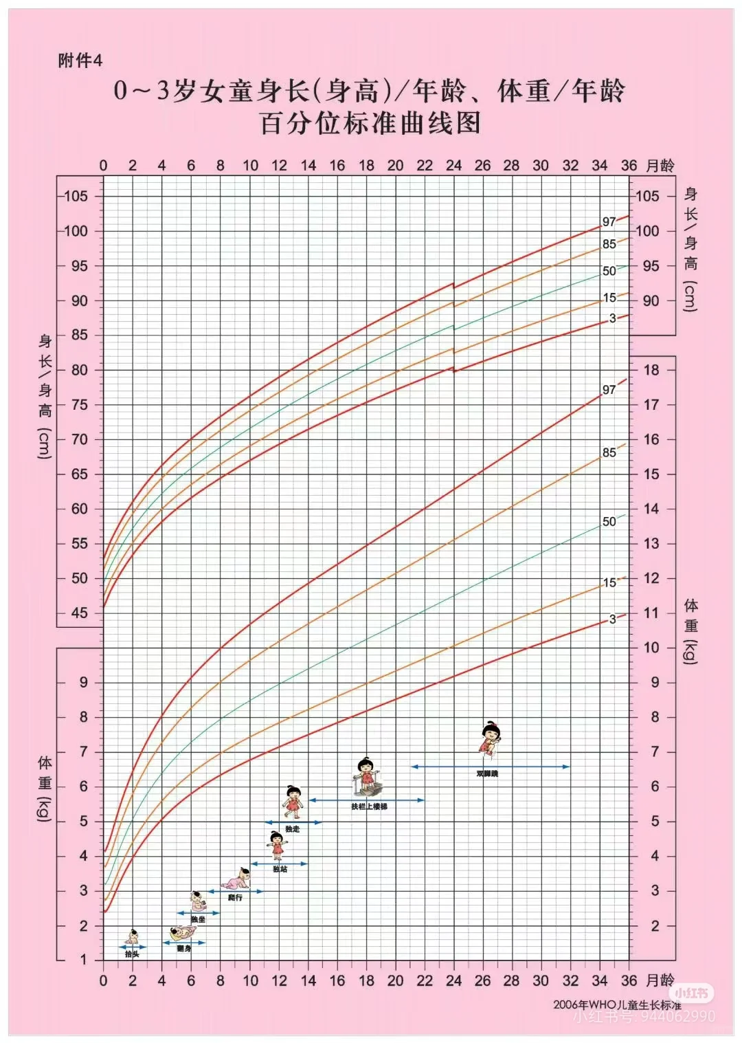 生长曲线