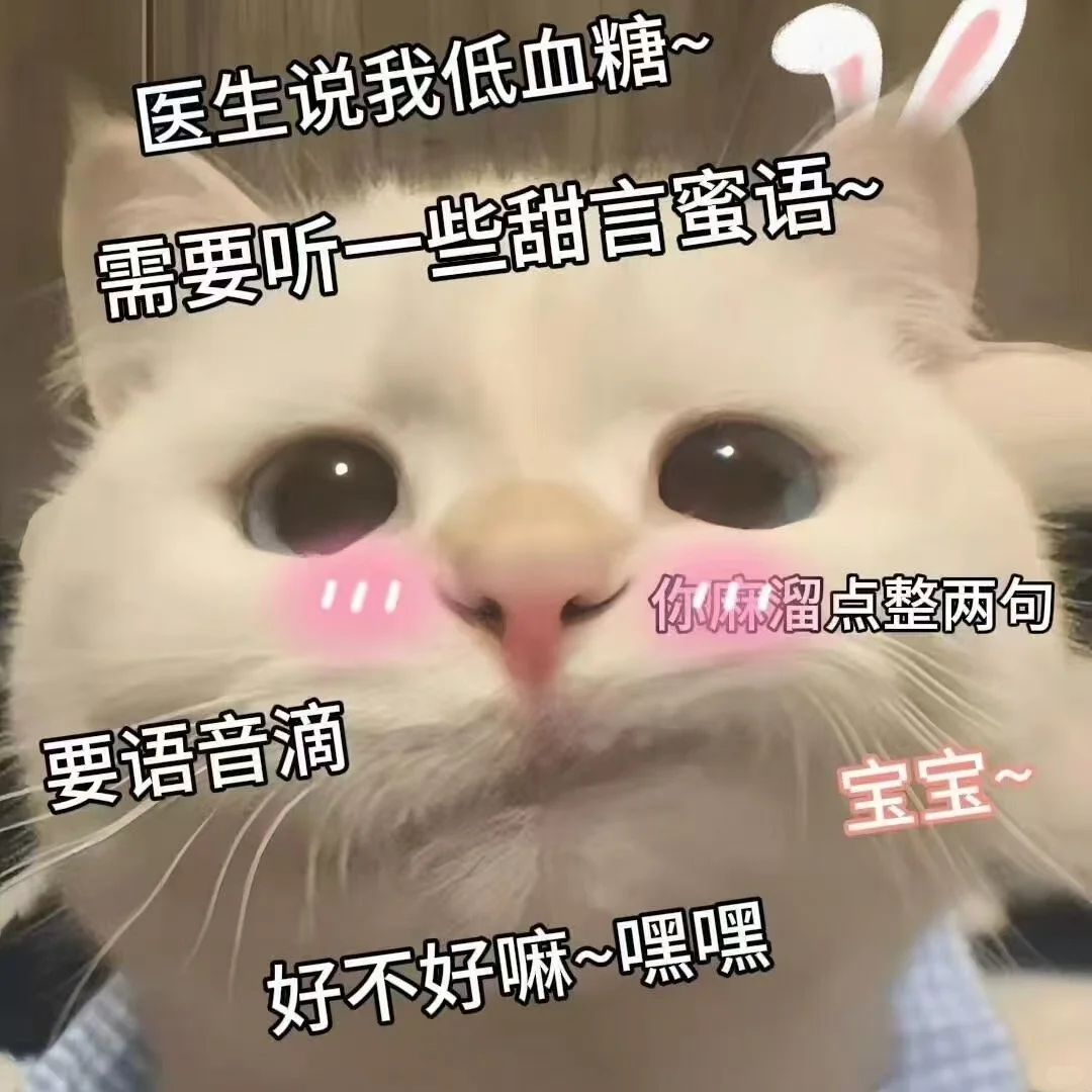 猫咪表情包太可爱了吧