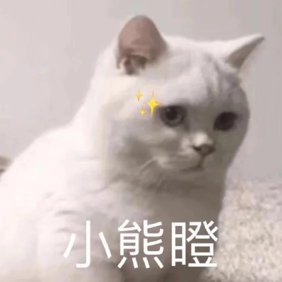 小猫：想刀人的心是藏不住的